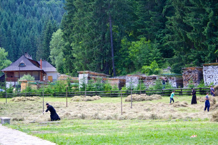 Putna monks jaymaking
