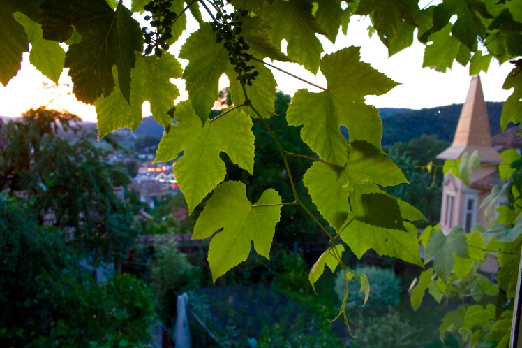 Sighoisoara room vioew